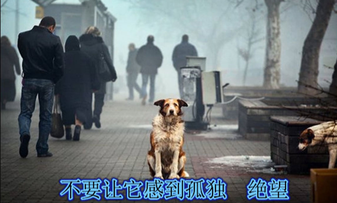 丰台丰台爱影圈微博微信转发案例
